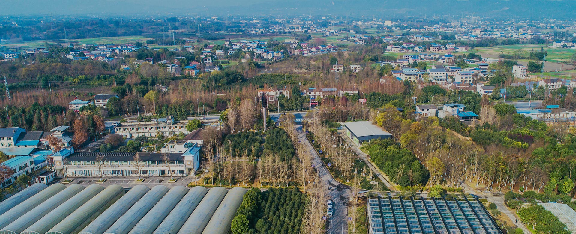 蔬菜品種育苗、示范推廣、基地種植、農(nóng)產(chǎn)品生產(chǎn)、加工 、銷(xiāo)售